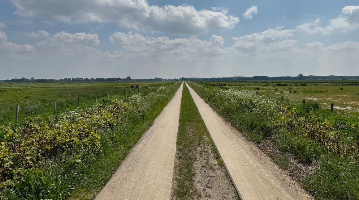 Boller Moor