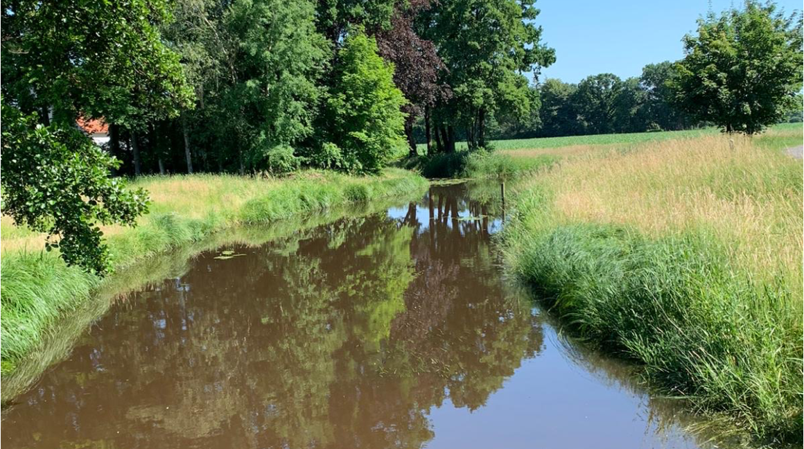 Flulauf hinterm Fliegerhorst